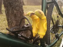 Double Banana Jojo :-) cenetred