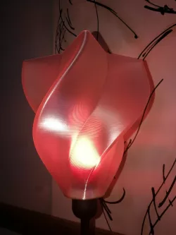 Flag Lamp
