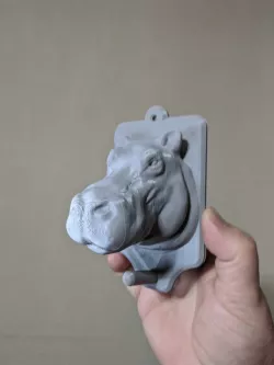 Hippo Head Mounted