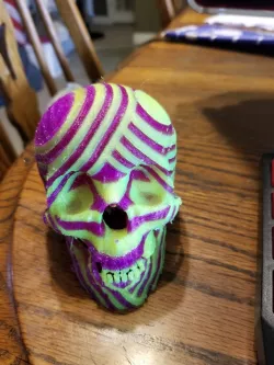 Skull Dual Extrusion