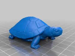 Turtle (STL errors fixed)