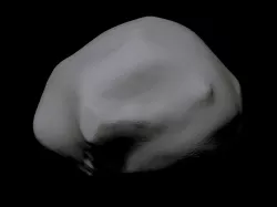 6 Hebe scaled one in four million