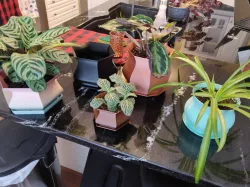 Custom Plant Pot Creator (Blender Script)