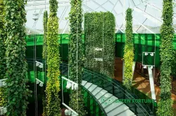 hydroponic Vertical ceiling garden module easy to grow