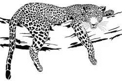 Leopard stencil