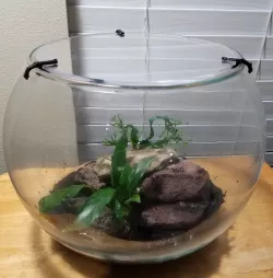 Lid Clips and Lid for Fish Bowl