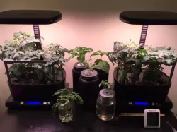 Plants Support for Aerogarden Harvest