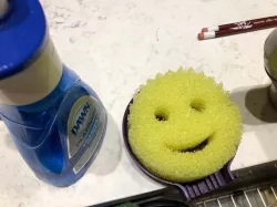 Scrub Daddy Holder