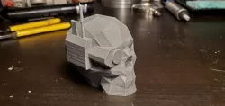 Servo skull