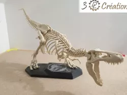 Socle platine squelette T-Rex - T-Rex skeleton base