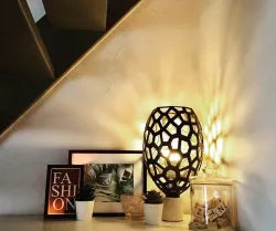 Voronoi Lamp Grashopper