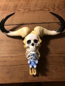 Wildebeest skull, skull, teddy bear