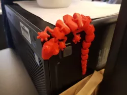  Articulated Lizard Internal Magnets