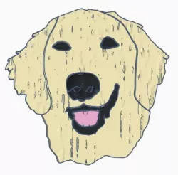 Golden Retriever Magnet