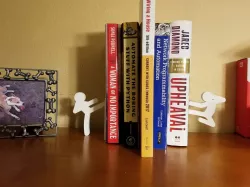 Kung Fu Stickman Bookends (Remix)