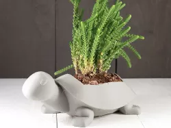 Turtle Planter