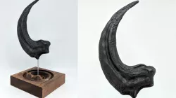 Velociraptor Claw - low poly