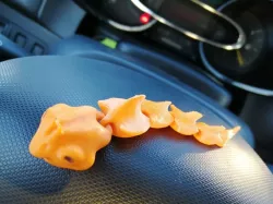 alien worm