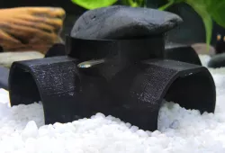Aquarium Fish Cave
