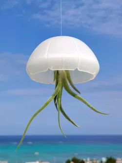 Jellyfish air plant holder