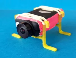 Mobius Camera mount