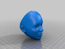 Realistic Head For BJD
