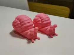 Snail