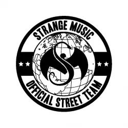 Strange Music Key Ring