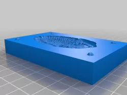 Trilobite mold