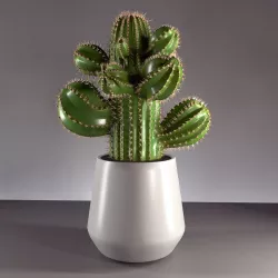 cactus 3D model