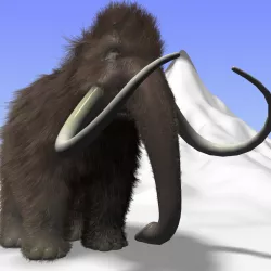 Cartoon Mammoth Rigged Low-poly  3D model