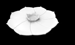 Ceramic Plate 