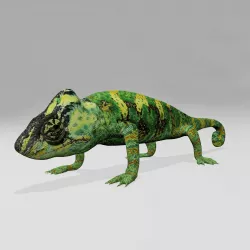 Chameleon 3D model