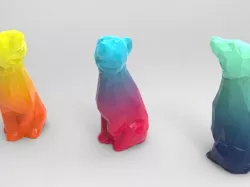 Color Fun Bear