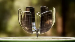 Floralis Generica Low-poly  3D model