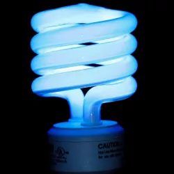 Fluorescent bulb