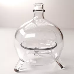 Fly Bottle 3D model