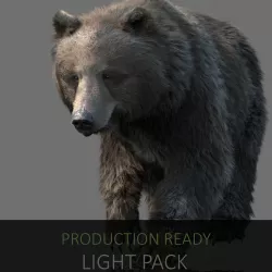 grizzly bear  3D model