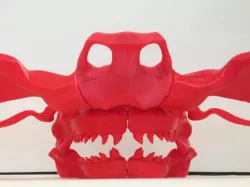 Hammerhead Skull