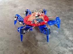Hexapod