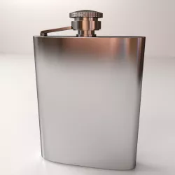 Hip Flask 3D model