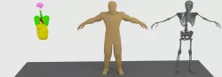 Human Anatomy Low-poly  3D model