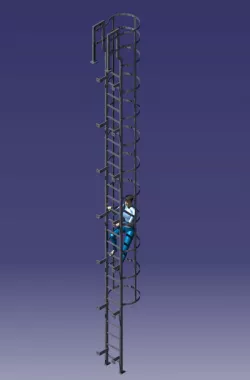 Industrial Ladder with Cage