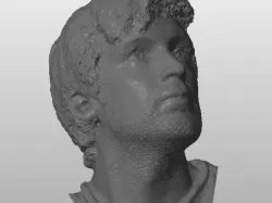Jamie Bust