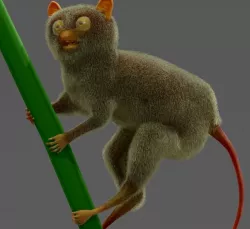 Philippine tarsier 3D model