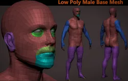 Realistic Male BaseMesh with SubDivisions 3D model
