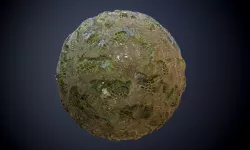 Swamp Muddy Footprint Seamless PBR Texture Texture