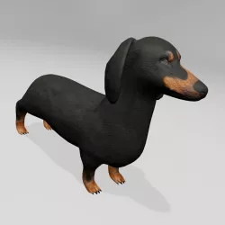 Teckel 3D model