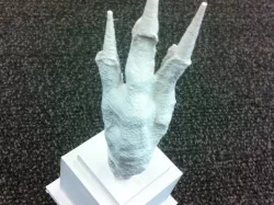 The Chicken Foot Award!