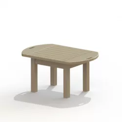 Tray Table